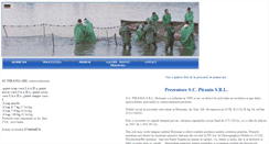 Desktop Screenshot of pirania-srl.com